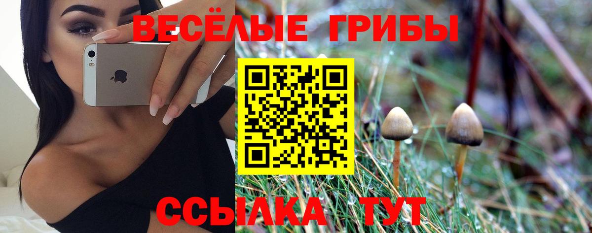 Псилоцибиновые грибы мицелий Бор